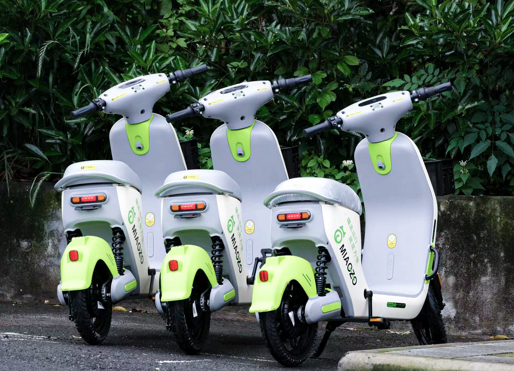 景區(qū)共享電動(dòng)車投放